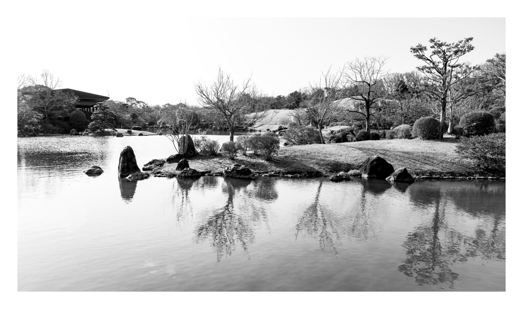 万博記念公園の写真