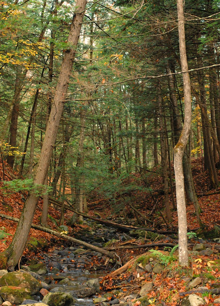 Ham Farm Brook. Lisbon, ME #2