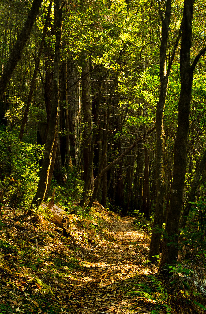 Hike.jpg