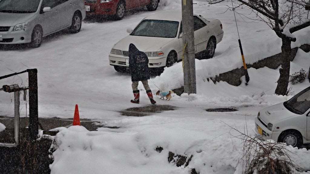 Walkies in the snow, Shibu Onsen, Yamanouchi, Nagano Prefecture